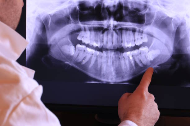 Best Emergency X-Rays and Diagnostics in Shafter, CA