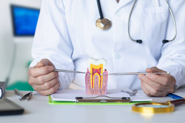 Best Knocked-Out Tooth (Avulsed Tooth) Treatment in Shafter, CA